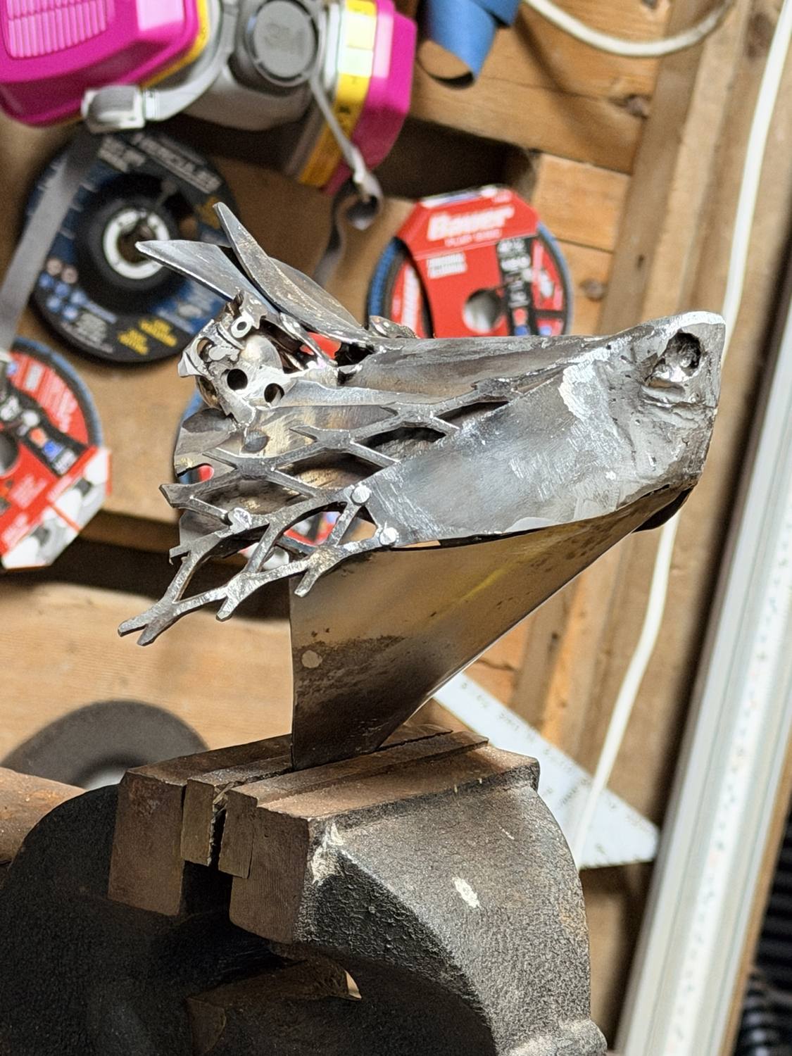Franklin's head and ears from a side angle, clamped in a vise