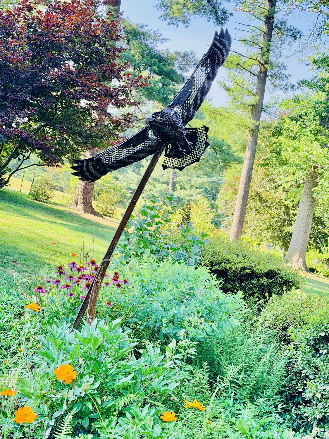 Sentinel, a welded hawk sculpture in flight, mounted in a garden